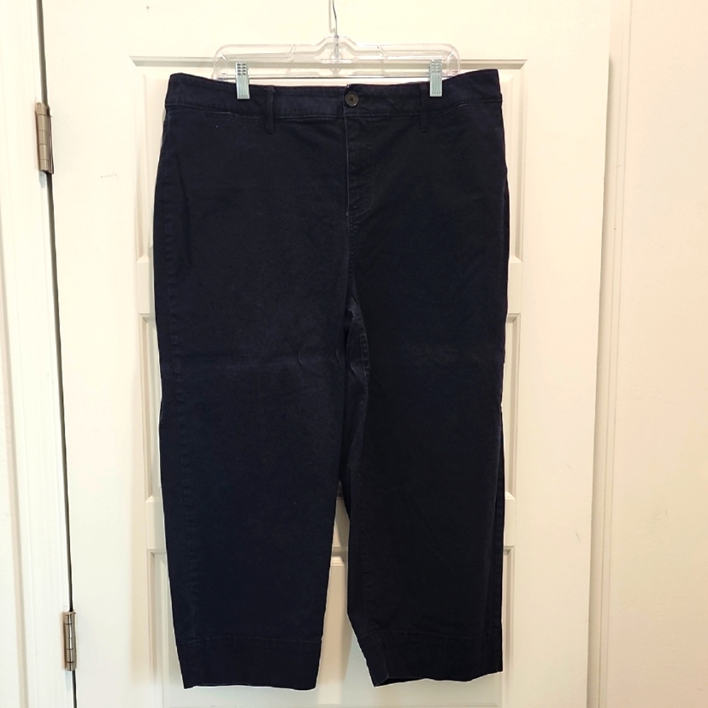 Loft Plus sized Women's Navy cropped wide leg Pants size 16
